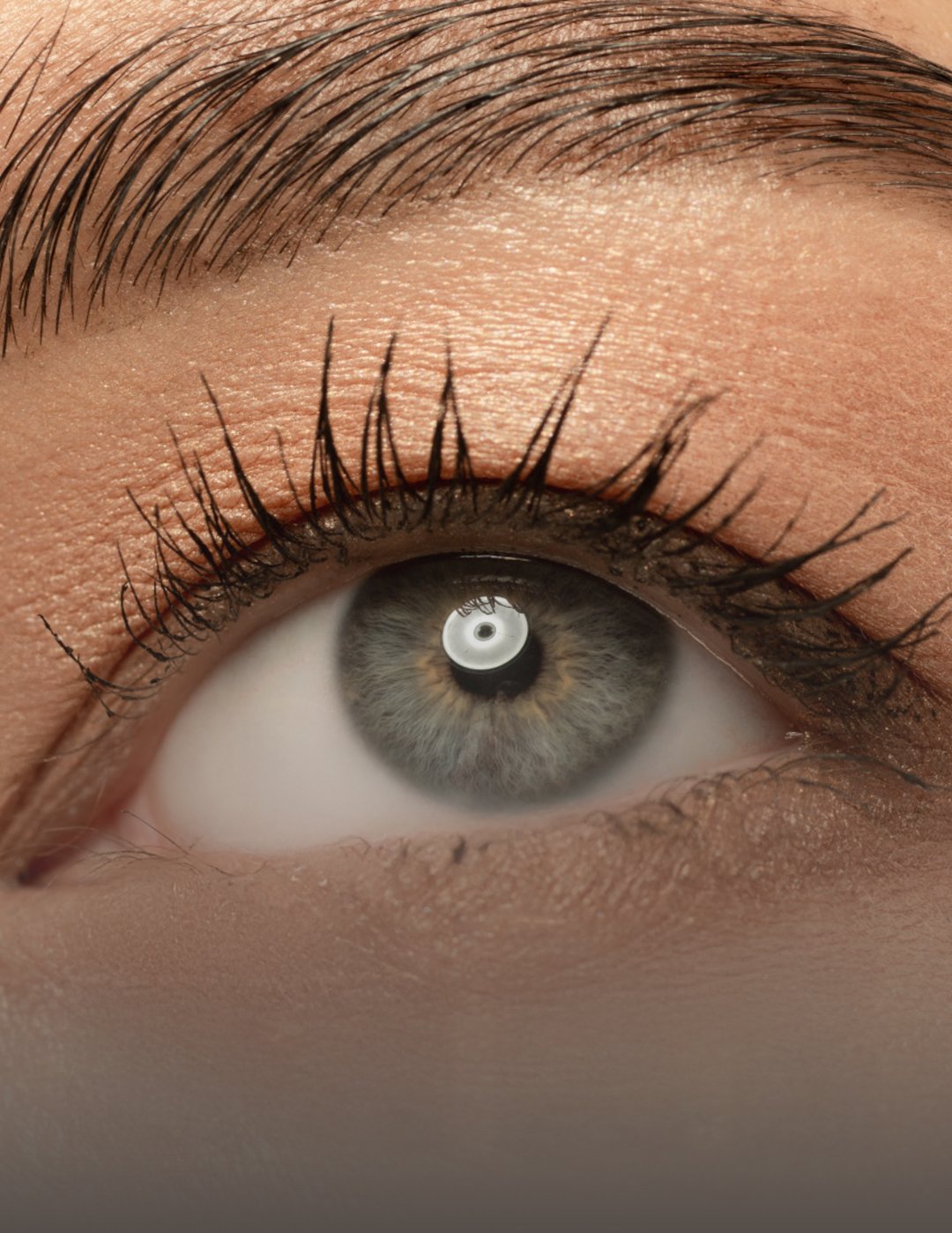 Técnica de Microblading y Microshading