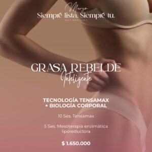 Grasa Rebelde Inteligente